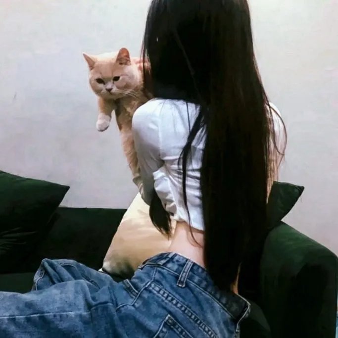 弥天之谎