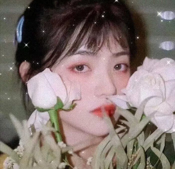 罗娅